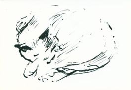 Elisabeth Jankowsky: Katze, Skizze 1931